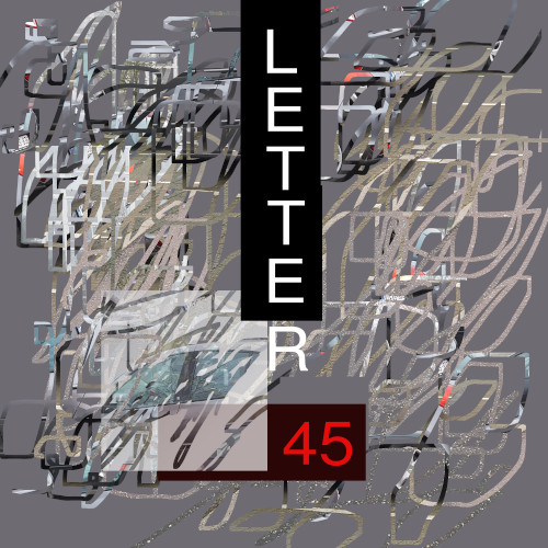 Letter 45